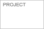 Project